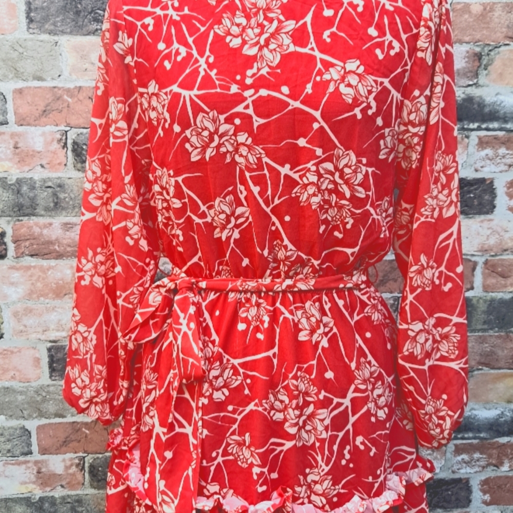 Long Sleave Floral Print Mini Dress